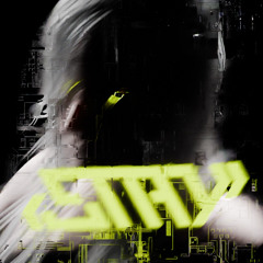 STAY