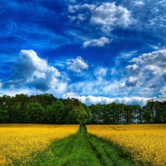 Spring