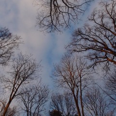 Autumn - Wet Cigarettes