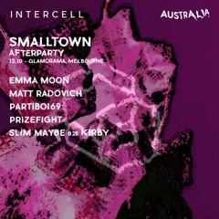 Matt Radovich DJing at Glamorama x Intercell After Party feat PARTIBOI69 Oct 2024