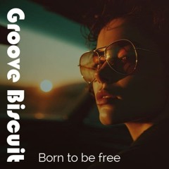 Groove Biscuit - Born to be free
