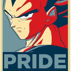 Dragonball Z | pride