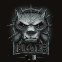 Stream Dj Mad Dog | Listen to Till I Die Vol.1 playlist online for ...