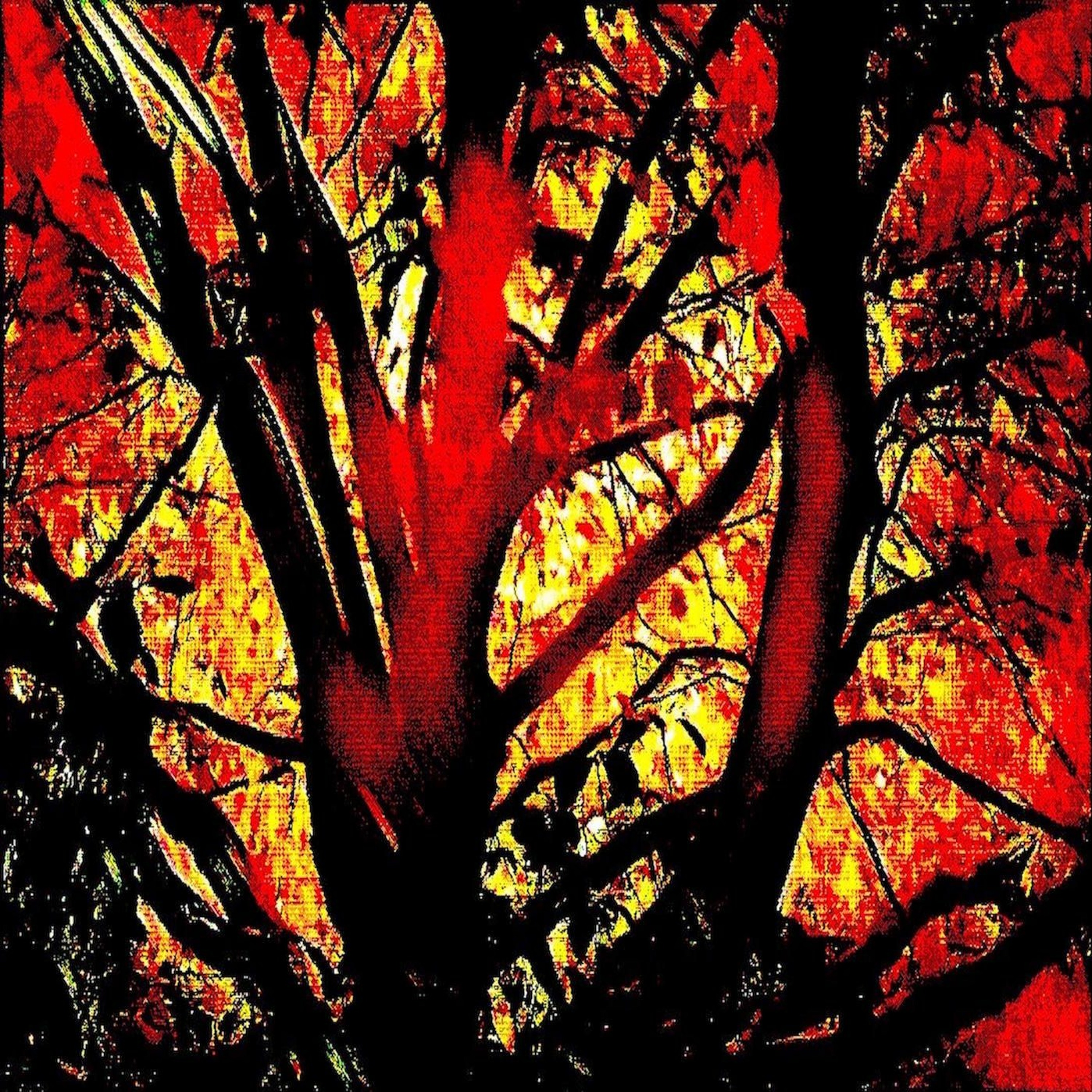 Fields On Fire - Loop's Qool episode artwork