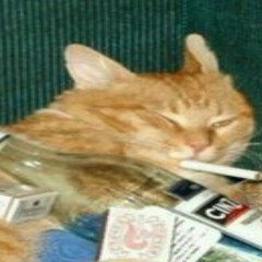 Anti-Islam black metal