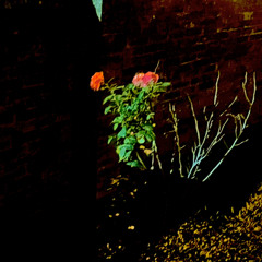 Pursuin’ Prod. Donnie Katan x niketaz