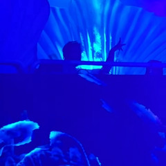 Full Bloom - World Pride 2025