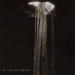 in case of capture - 1 (instrumental)