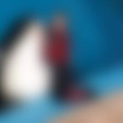 original] jessica radcliffe video orca angriff orca tötet frauorca unfall jessica radcliffe baleset