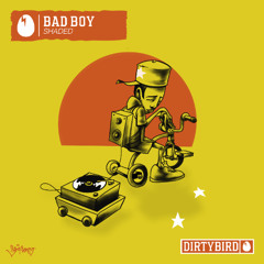 Bad Boy [DIRTYBIRD]