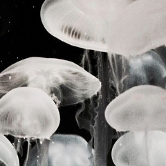 𝙠𝙞𝙘𝙠𝙞𝙣’ 𝙗𝙖𝙘𝙠