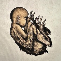 Magnapinnidae