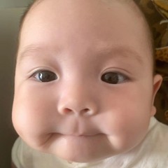 FULL  VKEY - DANI _ 2025 | chuppa chups