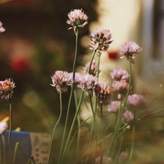 i miss you, im sorry