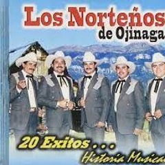 Los Norteños de Ojinaga Mix