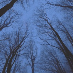 xxalone - Luna(feat. zoe)