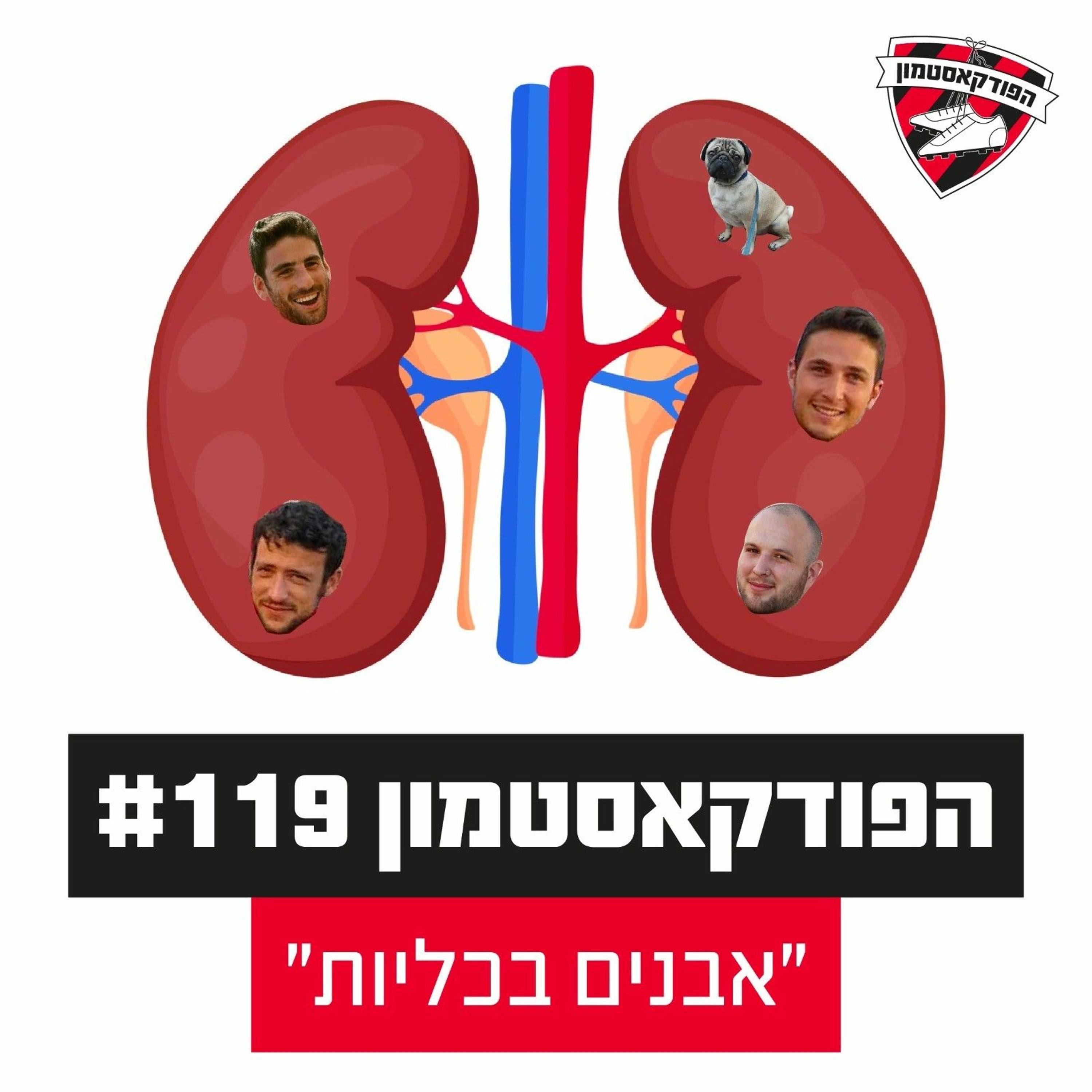 הפודקאסטמון #119 - ״אבנים בכליות״