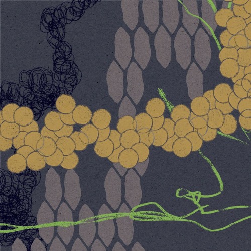 Embrace of Your Authenticity: TSUNIMAN