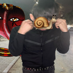 skinnysnail popya5i5iesout prodanthxy