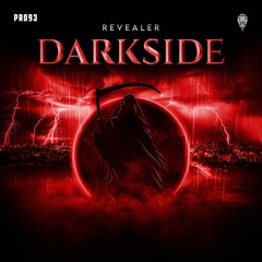 Revealer - Darkside