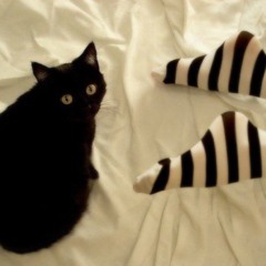 bluedollarbill (prod me)