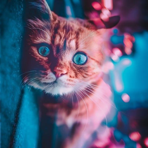 Lệ Quyên X DJ Mike Hào - Top Hits Remix