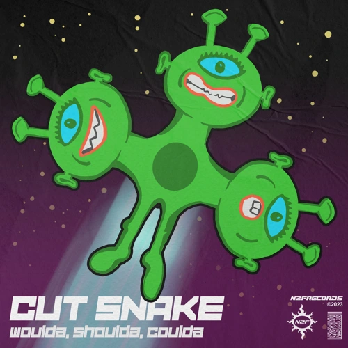 Artwork for the song Woulda, Shoulda, Coulda by Cut Snake on Next Sound