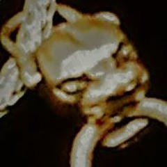 كيלישស្តីו. T.R.C. ( O.M. RMX) كيלישស្តីו