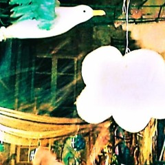 Calamari Union Komitee