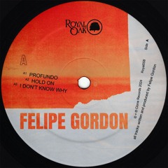 PREMIERE: Felipe Gordon - Hold On