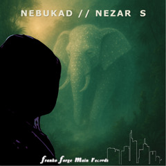 Nezar S