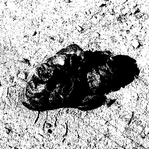 Introjekt - Excrements (Original Mix)