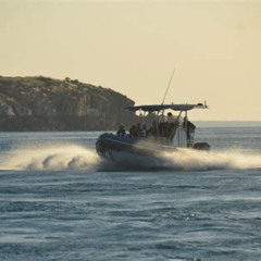 Best Cygnet Bay Explorer Tours Review
