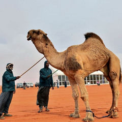 مرحبا ياهرجة الزين..مزموم النحر