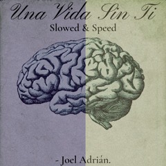 Una Vida Sin Ti (Slowed Down)