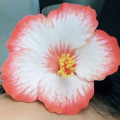 Sugarcane (feat. King Promise) [Remix] (Remix)