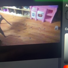 prolly should’ve went to college