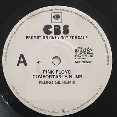 Pink Floyd - Comfortably Numb (Pedro Gil Remix)