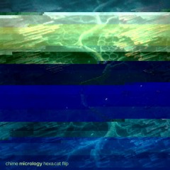micrology (hexa.cat flip)