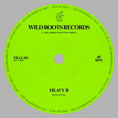 Heavy B