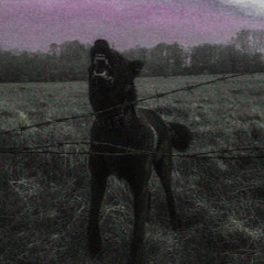 cathedral (kso babyy x tbm)