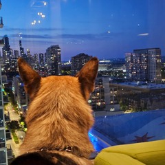 Sam Matters Mix June 6 2023