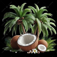 AL SON DE LOS COCOS 🌴 - ANDRES BARRIENTOS