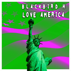 Blackbird H - Love America