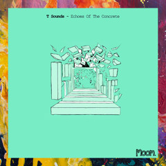 PREMIERE: T Sounds — Wesley [Moom Sound]