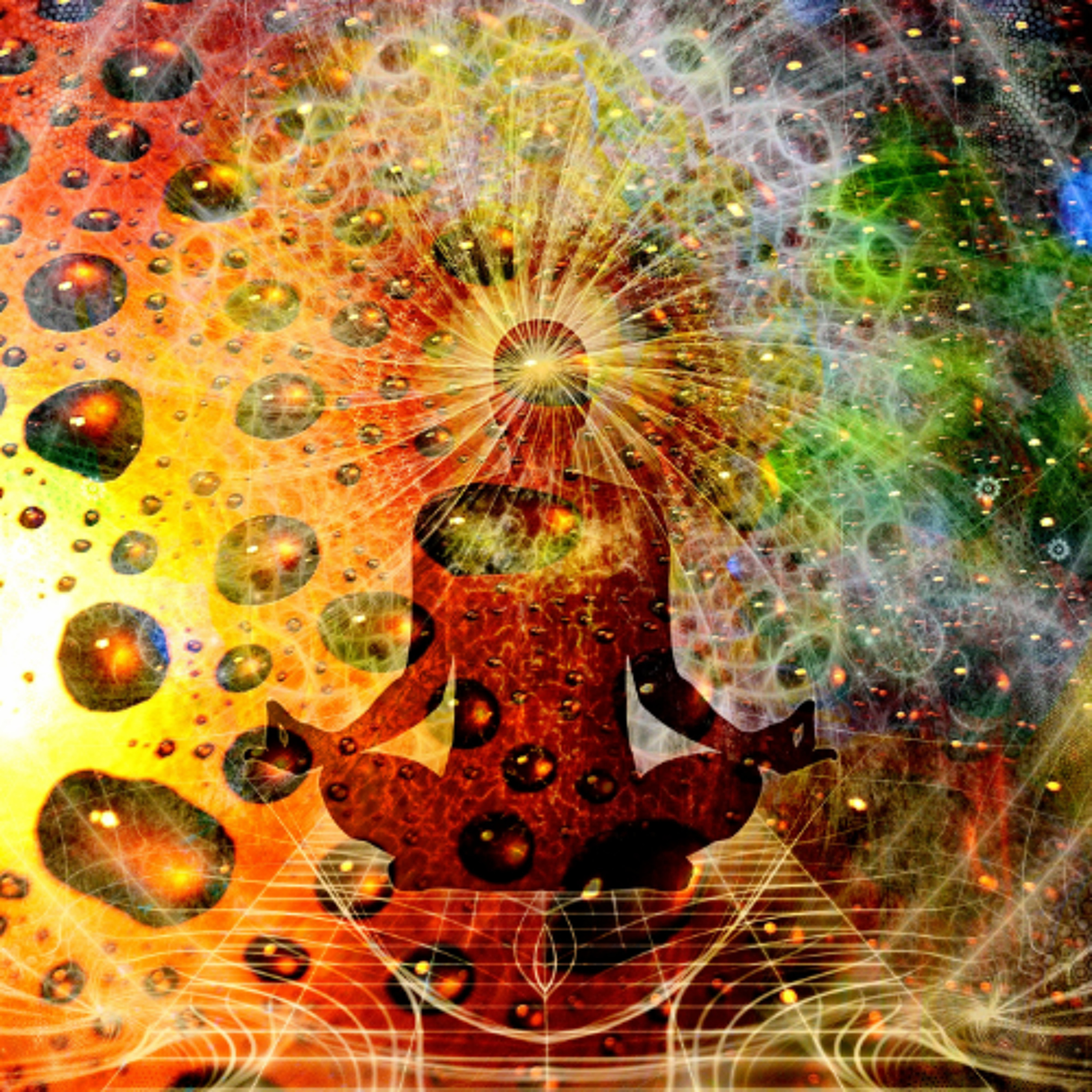 Absorb episode artwork