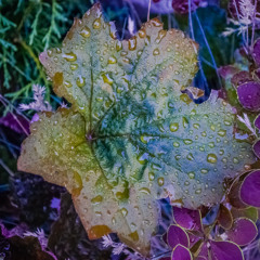 Kaleidoscope (prod. JustDan)