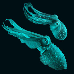 Dancing Deep 3 (70 bpm)