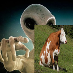 On the Abduction of the Bovine Species
