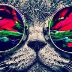 BASSKO SESSION BREAKBEAT 2025